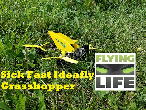 Sick Fast! Ideafly Grasshopper F210 (GEARBEST.COM) - UCrnB6ZMrvEgOIOcARehRqQg