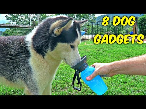 8 Dog Gadgets put to the Test - UCe_vXdMrHHseZ_esYUskSBw