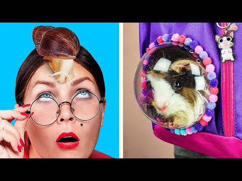 How To Sneak Pets Into Class / 8 Funny Pet Pranks And Hacks - UCWwqHwqLSrdWMgp5DZG5Dzg