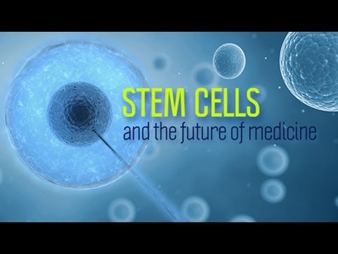 Stem Cells and the Future of Medicine - Research on Aging - UCh6KFtW4a4Ozr81GI1cxaBQ