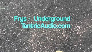 Frys - TantricAudio.com - Multi Genre House, Tech HOuse, Techno