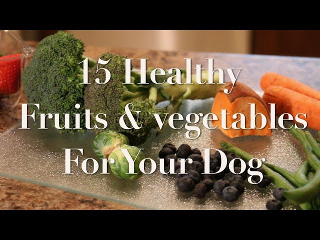 can-dogs-eat-frozen-vegetables-hayfarmguy