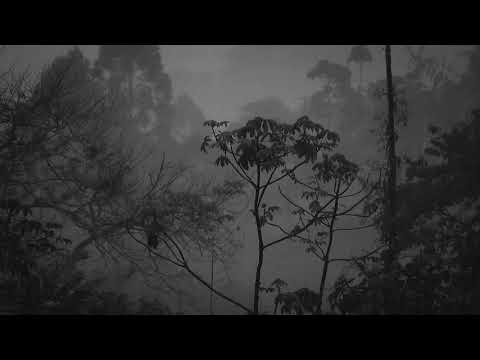 Regen & Gewittergeräusche, Natur & Regengeräusche zum Entspannen, Meditieren, Lernen & Einschlafen