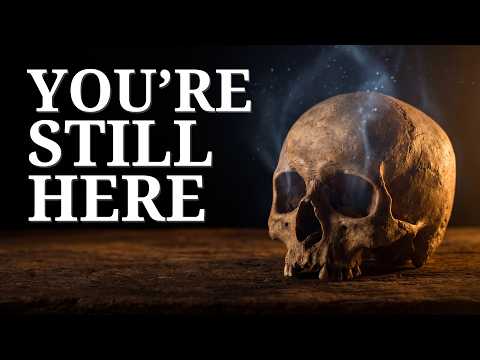 What Really Happens After You Die?
