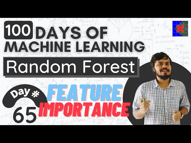 Machine Learning: What is Feature Importance?