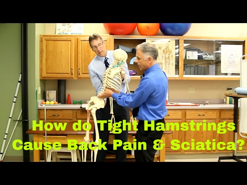 How Do Tight Hamstrings Cause Back Pain & Sciatica? How to Stretch. - UCmTe0LsfEbpkDpgrxKAWbRA