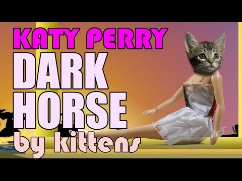 Katy Perry - Dark Horse (Cute Kitten Parody) - UCPIvT-zcQl2H0vabdXJGcpg