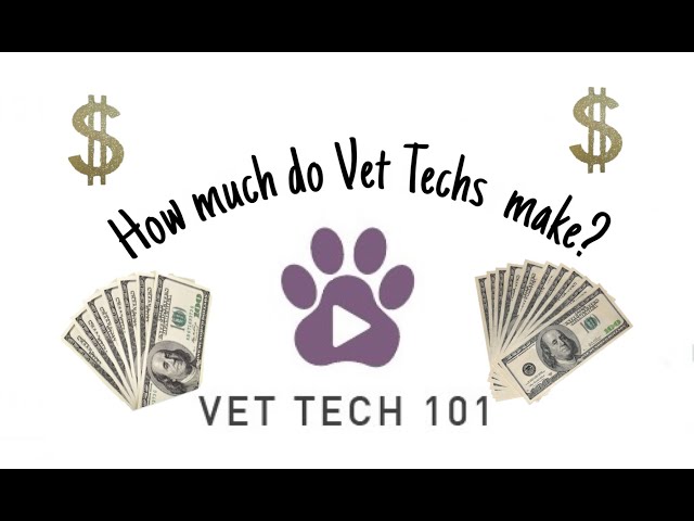 how-much-does-a-vet-tech-make-an-hour-betterthanvoodoo