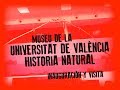 Imatge de la portada del video;Museu de la Universitat de València: Historia Natural - Inauguración y visita
