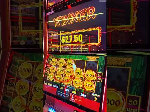 ("D&T"🎰)🐉🖇️ Mrs Player2 got big 💵💵💵off an ol $0.50 bet💵😱.
