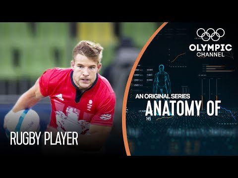 Anatomy of A Rugby Player: How Strong Is Olympic Medallist Tom Mitchel? - UCTl3QQTvqHFjurroKxexy2Q