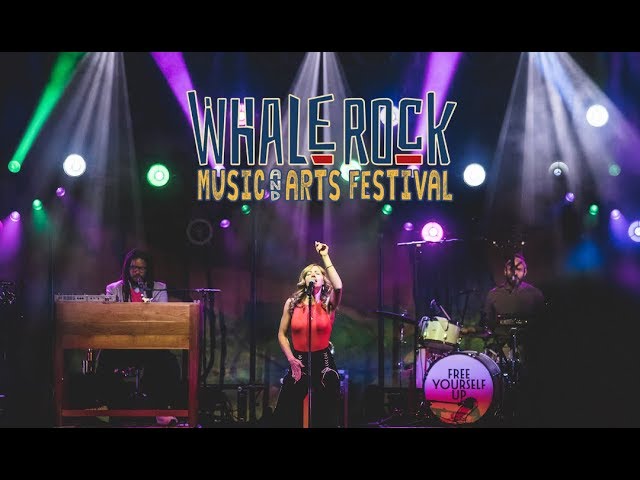 Whale Rock Music – The Best of the Best