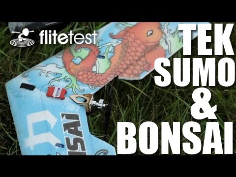 Flite Test - Tek Sumo and Bonsai - Review - UC9zTuyWffK9ckEz1216noAw