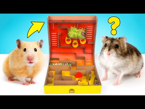 DIY Hamster Maze With Pringles Can And Spinner Obstacles - UCw5VDXH8up3pKUppIvcstNQ