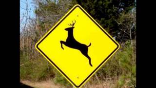 ORIGINAL - Please Move The Deer Crossing Sign.
