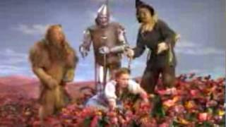 The Wizard of Oz - poppies