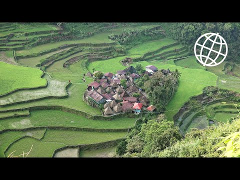 Rice Terraces of the Philippine Cordilleras: Batad, Bangaan and Banaue in 4K Ultra HD - UCYWJ32GJbOgtzU2uHh0OMCQ