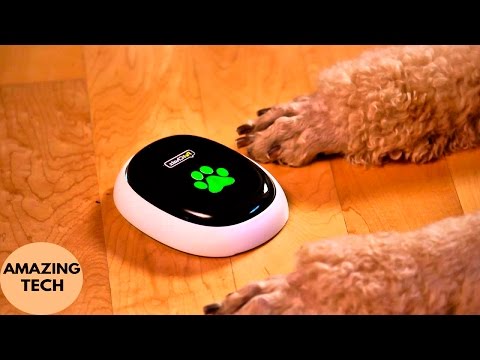 5 Amazing Gadgets for Your Pet Lover #1 - UCWErHBYItphgrudAmL7azdg
