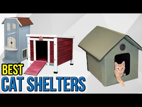 10 Best Cat Shelters 2017 - UCXAHpX2xDhmjqtA-ANgsGmw