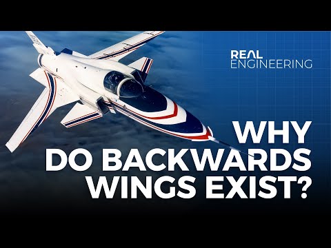 Why Do Backwards Wings Exist? - UCR1IuLEqb6UEA_zQ81kwXfg