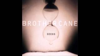Brother Cane - Seeds (Full Album)