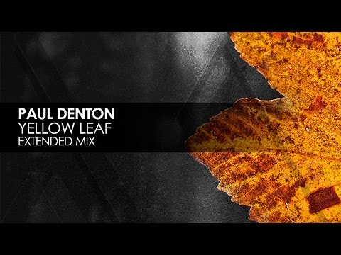 Paul Denton - Yellow Leaf - UCvYuEpgW5JEUuAy4sNzdDFQ