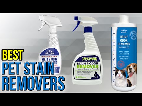 10 Best Pet Stain Removers 2017 - UCXAHpX2xDhmjqtA-ANgsGmw