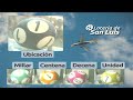 Quiniela La Previa de San Luis N° 980 03-09-2025