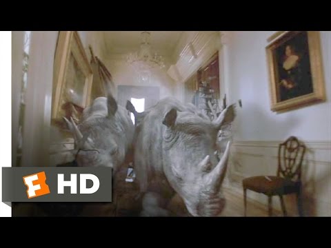 Jumanji (4/8) Movie CLIP - Stampede! (1995) HD - UC3gNmTGu-TTbFPpfSs5kNkg