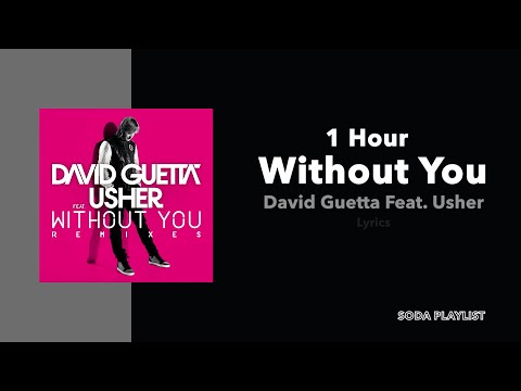 (1 Hour Loop) Without You - David Guetta Feat. Usher (Lyrics)