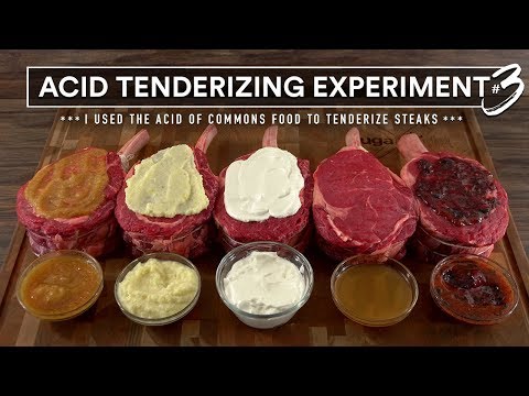 Steak TENDERIZING EXPERIMENT 3 Tested! Apple, Sour Cream, Lemon, Blue Berry & Vinegar! - UCfE5Cz44GlZVyoaYTHJbuZw