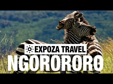 Ngorongoro Crater Vacation Travel Video Guide - UC3o_gaqvLoPSRVMc2GmkDrg