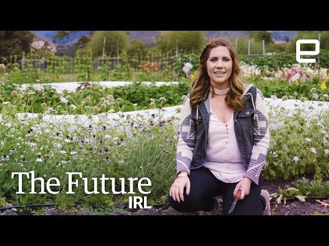 The farming robots of tomorrow are here today | The Future IRL - UC-6OW5aJYBFM33zXQlBKPNA