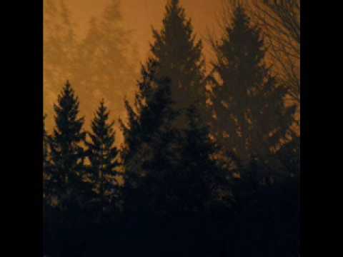If These Trees Could Talk - What's In The Ground Belongs To You