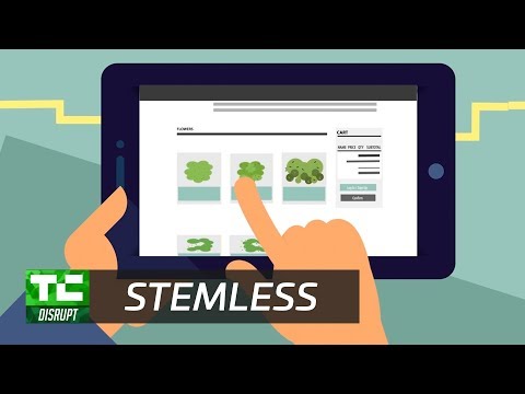 Stemless Online Marijuana Dispensary | Disrupt SF 2017 - UCCjyq_K1Xwfg8Lndy7lKMpA