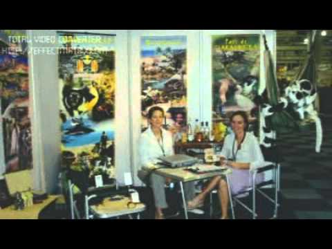 Elton John - Boogie Pilgrim