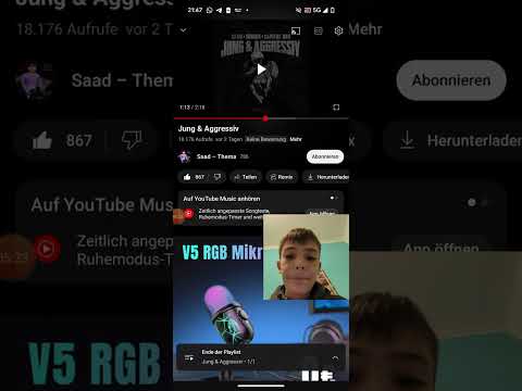 Reaktion auf SAAD Capital bra Gringo Jung und Aggressiv