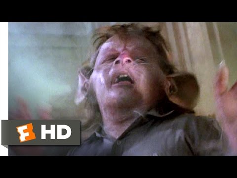 The Witches (5/10) Movie CLIP - Hello Little Bruno (1990) HD - UC3gNmTGu-TTbFPpfSs5kNkg