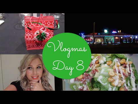 Vlogmas Day 8 2014 Work Dinner, Siamese Cat and Christmas Lights - UChplUdodMCdfZfmTQbRhNWw