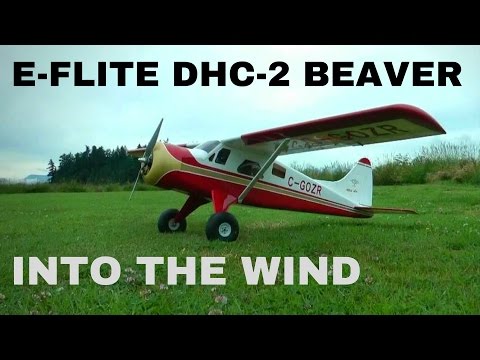 E-flite DHC-2 Beaver - “Into the Wind” - UCvrwZrKFfn3fxbkpiSIW4UQ