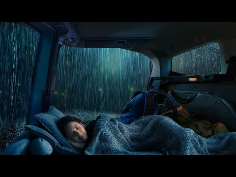 Regengeräusche zum Einschlafen - Regen im Wald wirken gegen Schlaflosigkeit – weißes Rauschen
