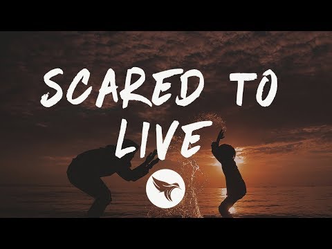 The Weeknd - Scared To Live (Lyrics)