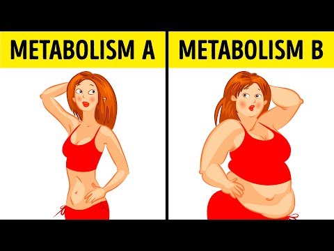 What the Metabolic Diet Is and Why It Works for Anyone - UC4rlAVgAK0SGk-yTfe48Qpw