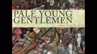 Pale Young Gentlemen - Single Days.wmv
