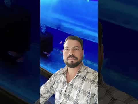 #hindisong #love #bollywood #vairalshort