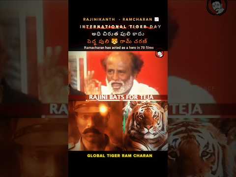 అధి చిరుత కాదు పెద్ద పులి 🐯| #internationaltigerday #rajinikanth #coolie #ramcharan #tiger|PrasanRCF
