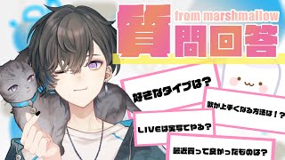 【質問コーナー】NG無しでなんでも答えてみた 前編【帝斗/個人勢Vtuber】