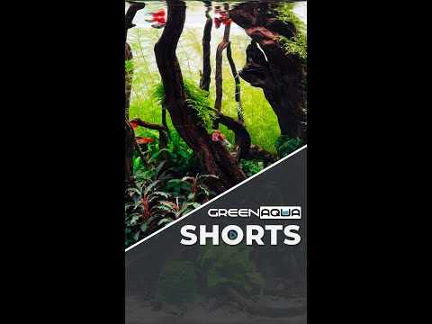 We all have this in our ❤️s, don't we?🥹