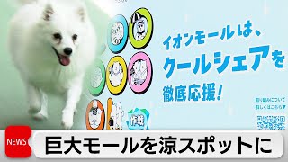 動画サムネイル
