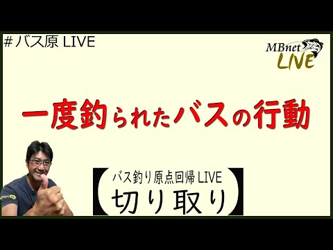 【ブラックバスの習性】釣られたバスの行動～バス釣り原点回帰ライブ切り取り～